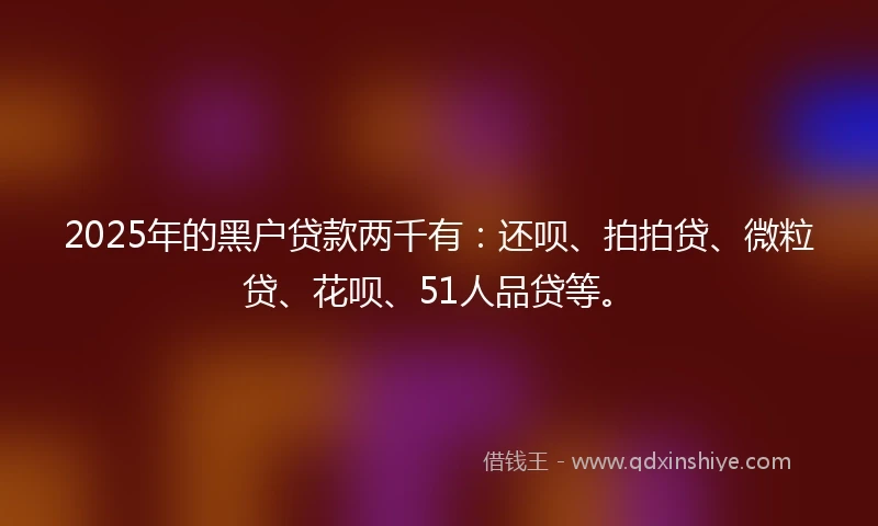2025年的黑户贷款两千有：还呗、拍拍贷、微粒贷、花呗、51人品贷等。