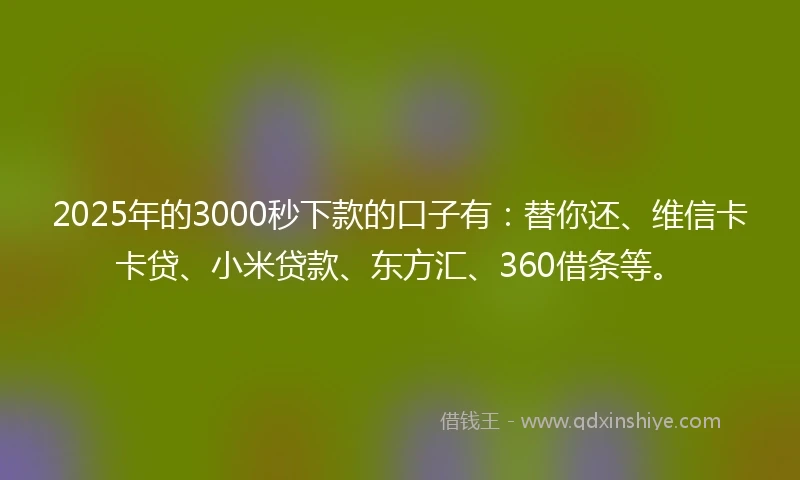 2025年的3000秒下款的口子有：替你还、维信卡卡贷、小米贷款、东方汇、360借条等。