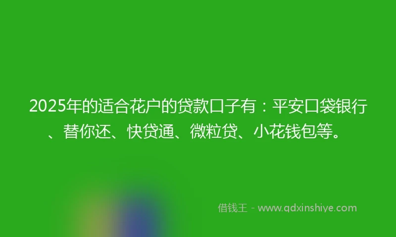 2025年的适合花户的贷款口子有：平安口袋银行、替你还、快贷通、微粒贷、小花钱包等。
