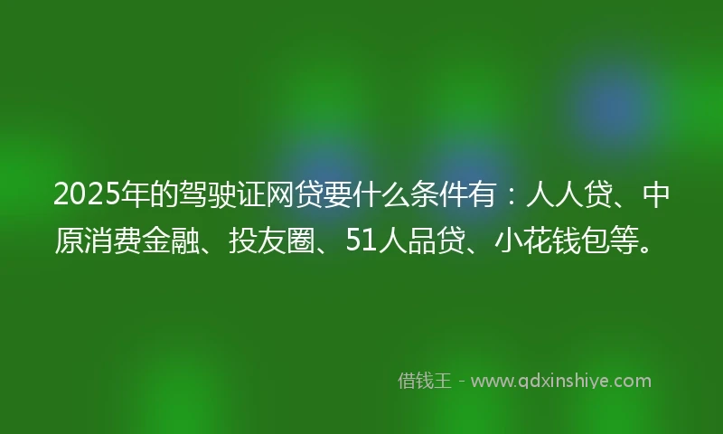 2025年的驾驶证网贷要什么条件有：人人贷、中原消费金融、投友圈、51人品贷、小花钱包等。