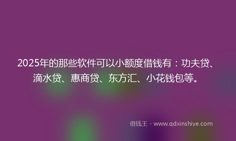 2025年的那些软件可以小额度借钱有：功夫贷、滴水贷、惠商贷、东方汇、小花钱包等。