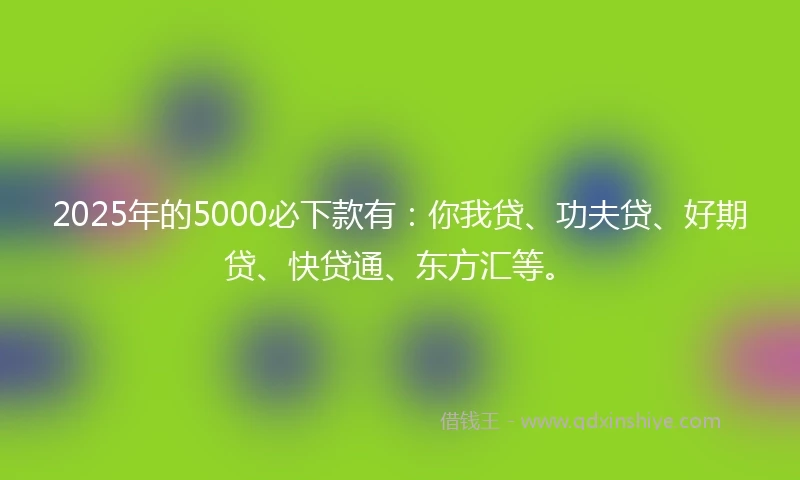 2025年的5000必下款有：你我贷、功夫贷、好期贷、快贷通、东方汇等。