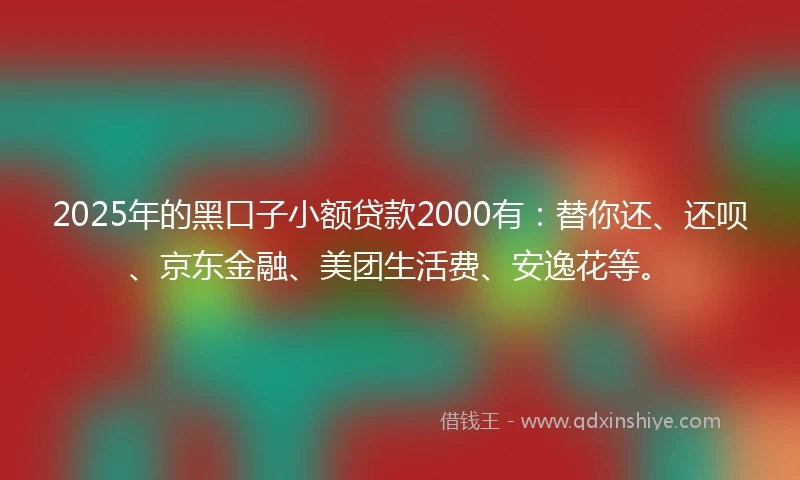 2025年的黑口子小额贷款2000有：替你还、还呗、京东金融、美团生活费、安逸花等。