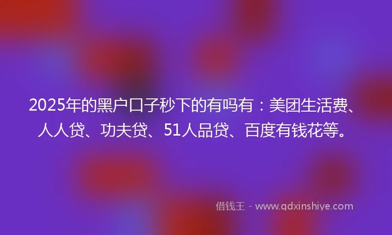 2025年的黑户口子秒下的有吗有：美团生活费、人人贷、功夫贷、51人品贷、百度有钱花等。