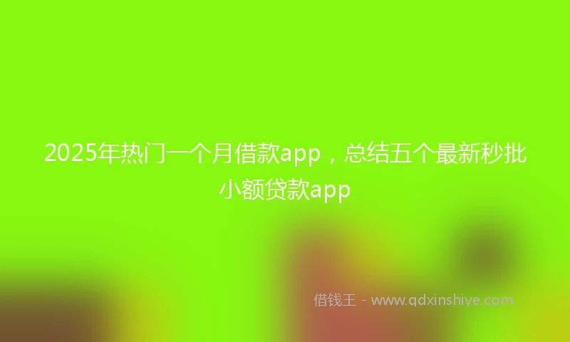 2025年热门一个月借款app，总结五个最新秒批小额贷款app