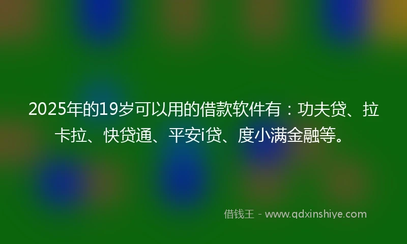 2025年的19岁可以用的借款软件有：功夫贷、拉卡拉、快贷通、平安i贷、度小满金融等。