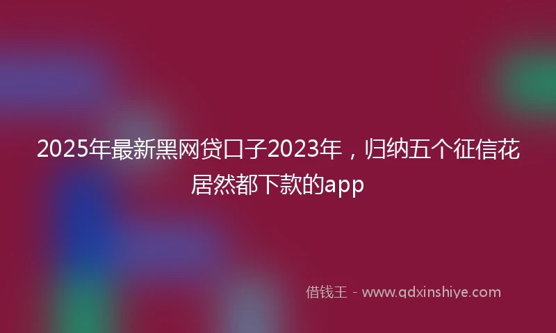 2025年最新黑网贷口子2023年，归纳五个征信花居然都下款的app