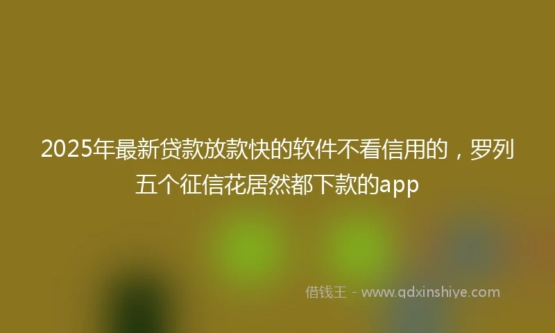 2025年最新贷款放款快的软件不看信用的，罗列五个征信花居然都下款的app