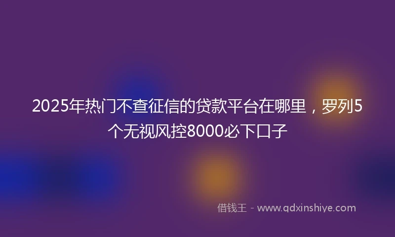 2025年热门不查征信的贷款平台在哪里，罗列5个无视风控8000必下口子