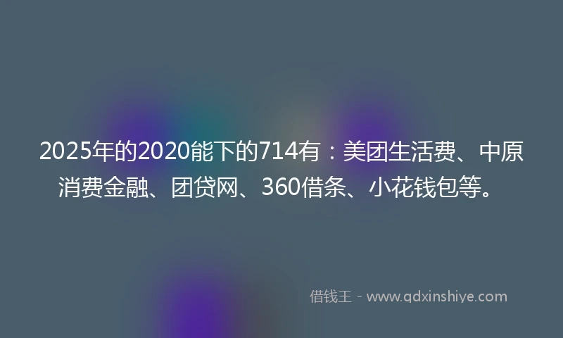 2025年的2020能下的714有：美团生活费、中原消费金融、团贷网、360借条、小花钱包等。