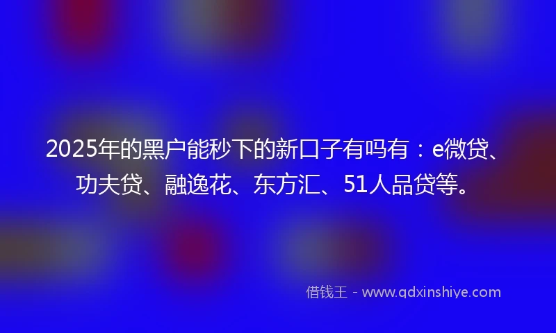 2025年的黑户能秒下的新口子有吗有：e微贷、功夫贷、融逸花、东方汇、51人品贷等。