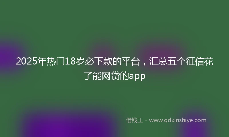 2025年热门18岁必下款的平台，汇总五个征信花了能网贷的app