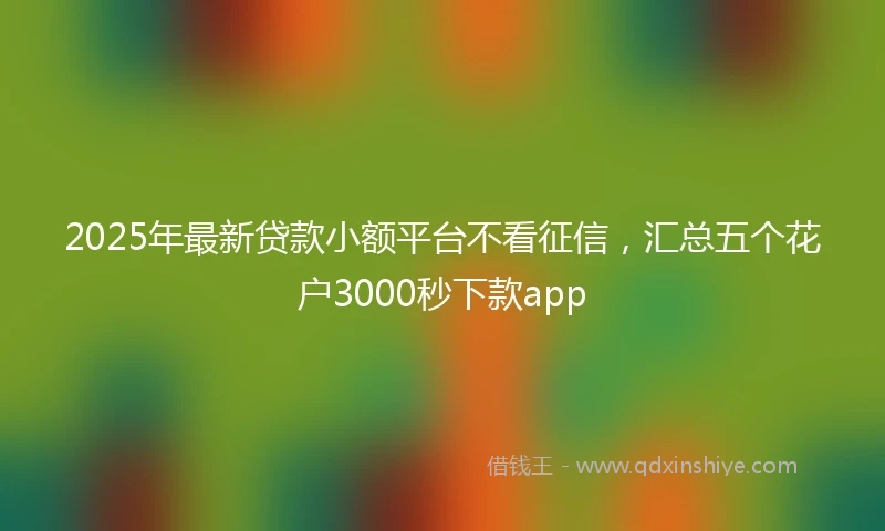 2025年最新贷款小额平台不看征信，汇总五个花户3000秒下款app