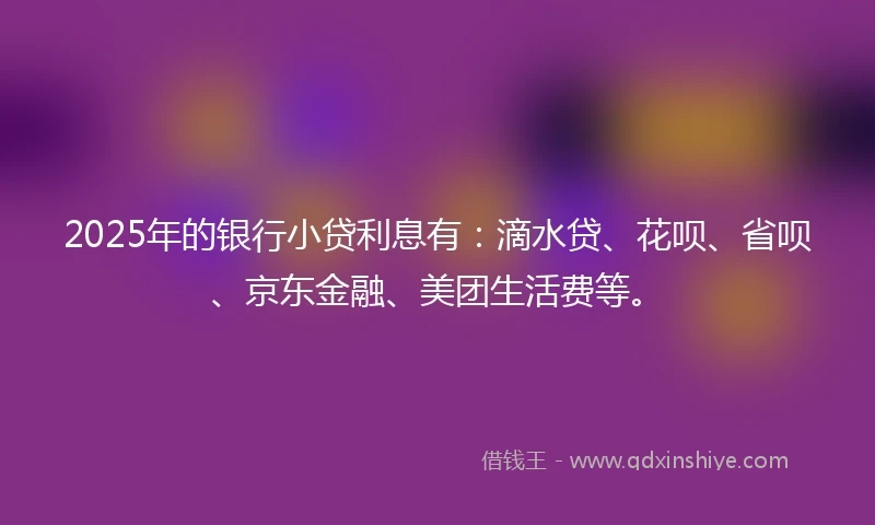 2025年的银行小贷利息有：滴水贷、花呗、省呗、京东金融、美团生活费等。