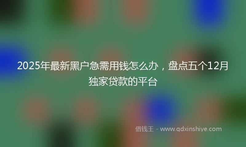 2025年最新黑户急需用钱怎么办，盘点五个12月独家贷款的平台