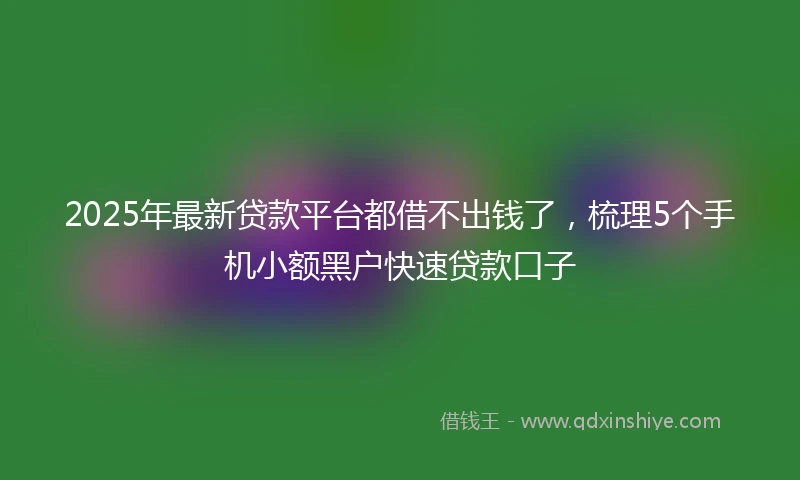 2025年最新贷款平台都借不出钱了，梳理5个手机小额黑户快速贷款口子