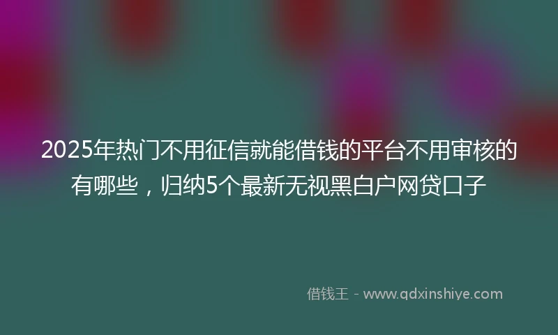 2025年热门不用征信就能借钱的平台不用审核的有哪些，归纳5个最新无视黑白户网贷口子