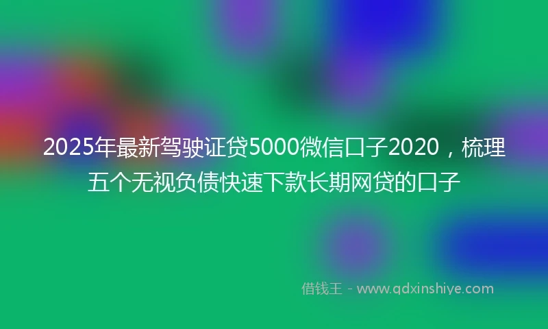 2025年最新驾驶证贷5000微信口子2020，梳理五个无视负债快速下款长期网贷的口子