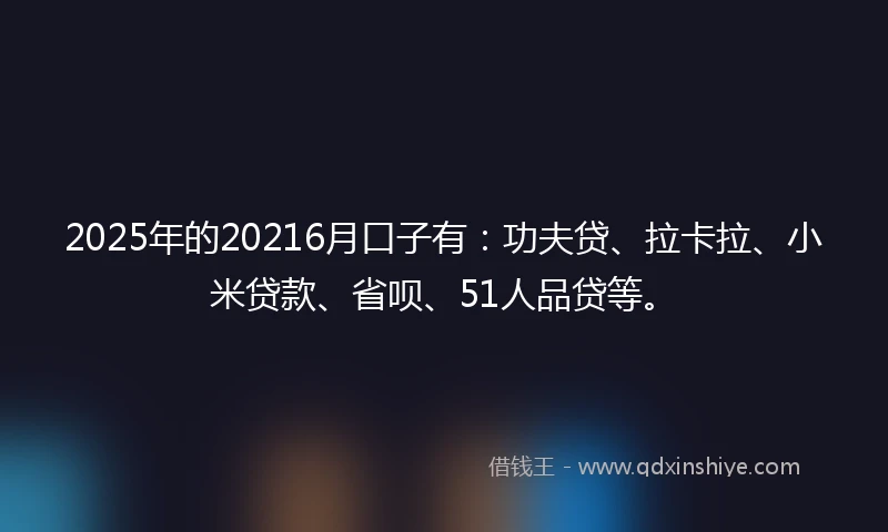 2025年的20216月口子有：功夫贷、拉卡拉、小米贷款、省呗、51人品贷等。