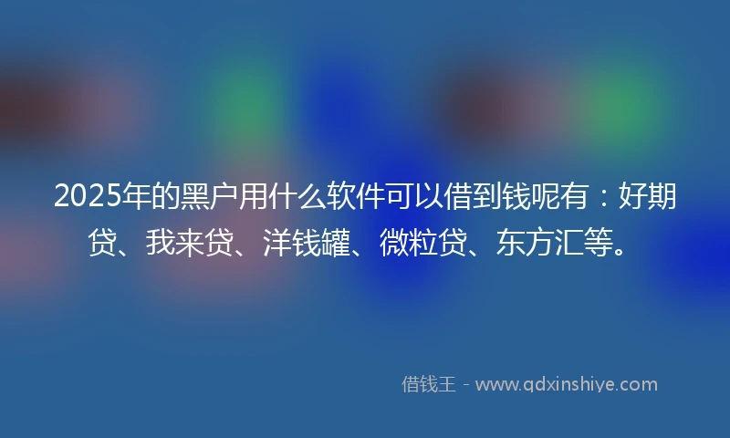 2025年的黑户用什么软件可以借到钱呢有：好期贷、我来贷、洋钱罐、微粒贷、东方汇等。