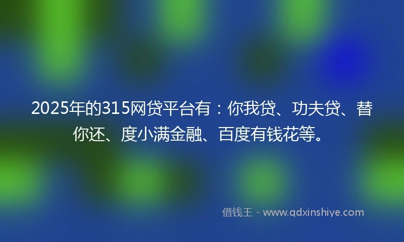 2025年的315网贷平台有：你我贷、功夫贷、替你还、度小满金融、百度有钱花等。
