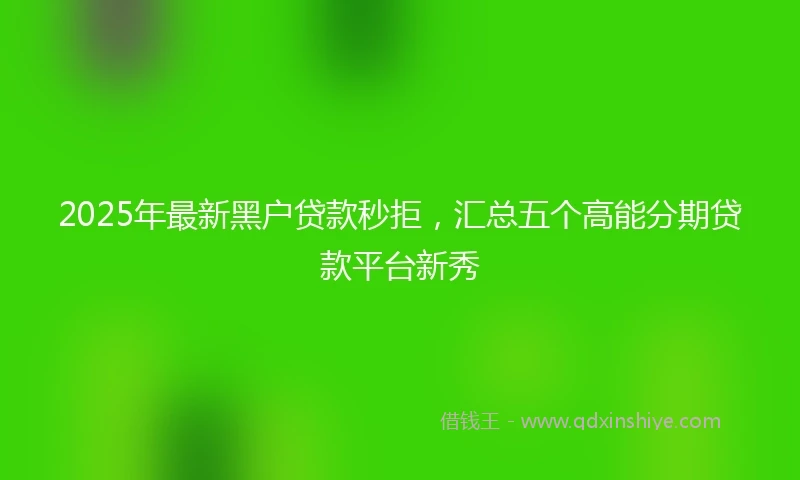 2025年最新黑户贷款秒拒，汇总五个高能分期贷款平台新秀