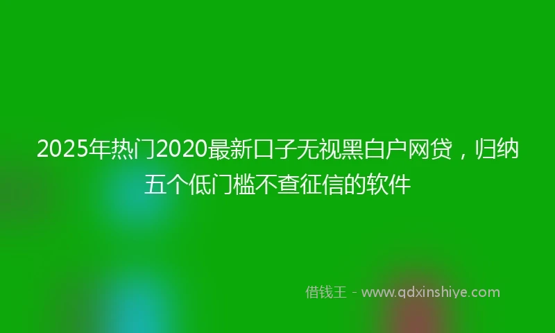 2025年热门2020最新口子无视黑白户网贷，归纳五个低门槛不查征信的软件