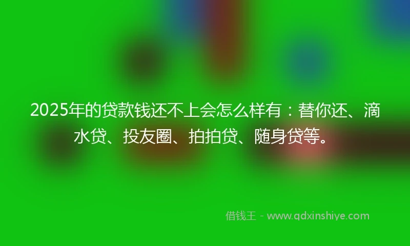 2025年的贷款钱还不上会怎么样有：替你还、滴水贷、投友圈、拍拍贷、随身贷等。