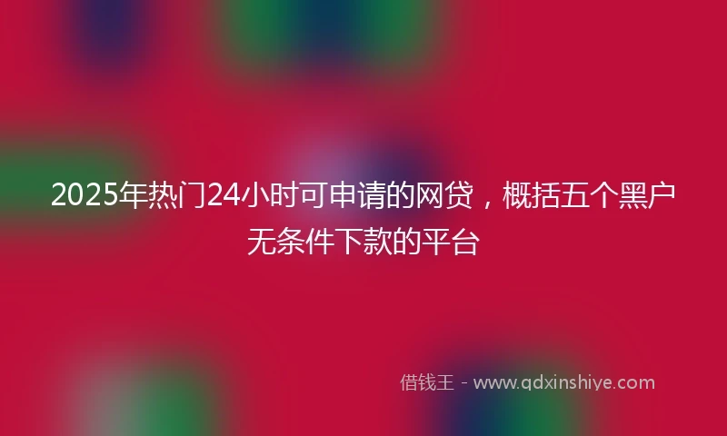 2025年热门24小时可申请的网贷，概括五个黑户无条件下款的平台