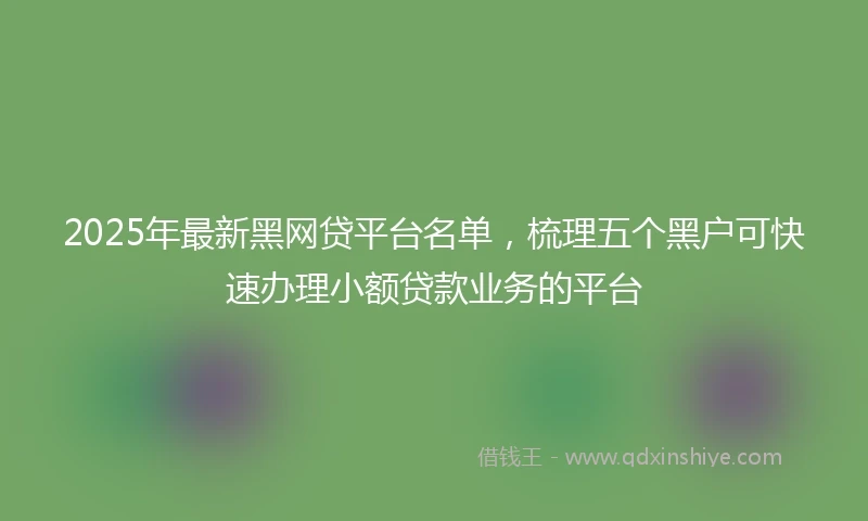 2025年最新黑网贷平台名单，梳理五个黑户可快速办理小额贷款业务的平台