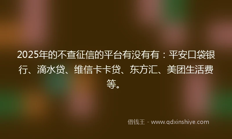 2025年的不查征信的平台有没有有：平安口袋银行、滴水贷、维信卡卡贷、东方汇、美团生活费等。