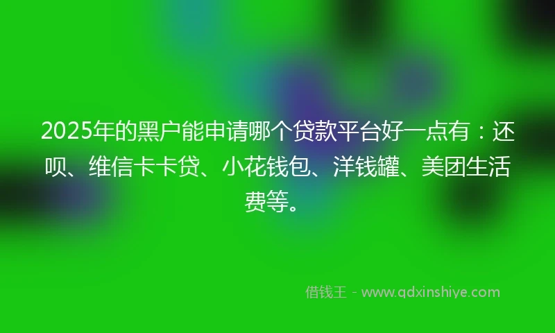 2025年的黑户能申请哪个贷款平台好一点有：还呗、维信卡卡贷、小花钱包、洋钱罐、美团生活费等。