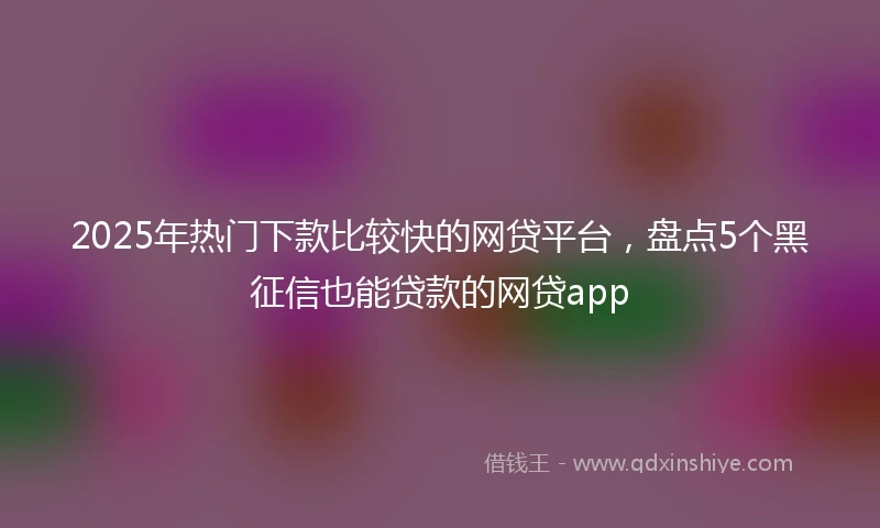 2025年热门下款比较快的网贷平台，盘点5个黑征信也能贷款的网贷app
