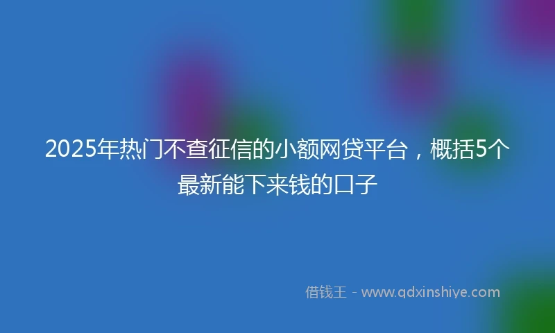 2025年热门不查征信的小额网贷平台，概括5个最新能下来钱的口子