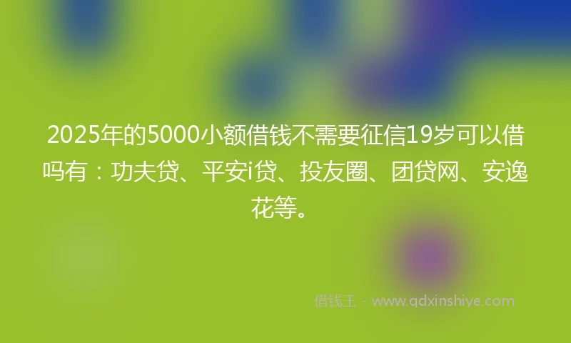 2025年的5000小额借钱不需要征信19岁可以借吗有：功夫贷、平安i贷、投友圈、团贷网、安逸花等。