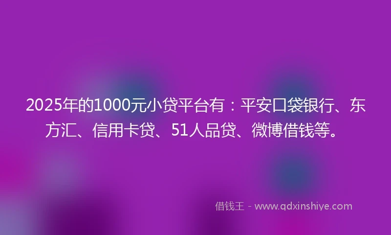 2025年的1000元小贷平台有：平安口袋银行、东方汇、信用卡贷、51人品贷、微博借钱等。