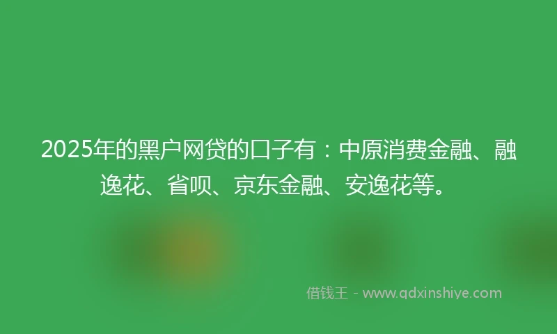 2025年的黑户网贷的口子有：中原消费金融、融逸花、省呗、京东金融、安逸花等。