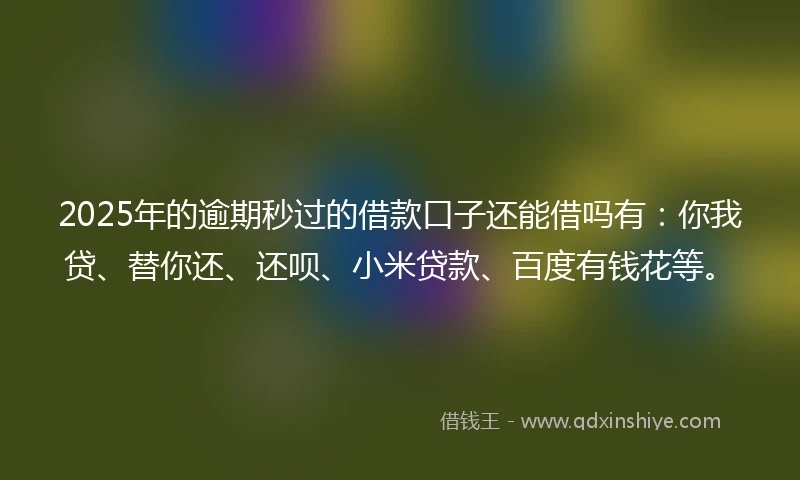 2025年的逾期秒过的借款口子还能借吗有：你我贷、替你还、还呗、小米贷款、百度有钱花等。