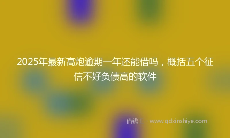 2025年最新高炮逾期一年还能借吗，概括五个征信不好负债高的软件