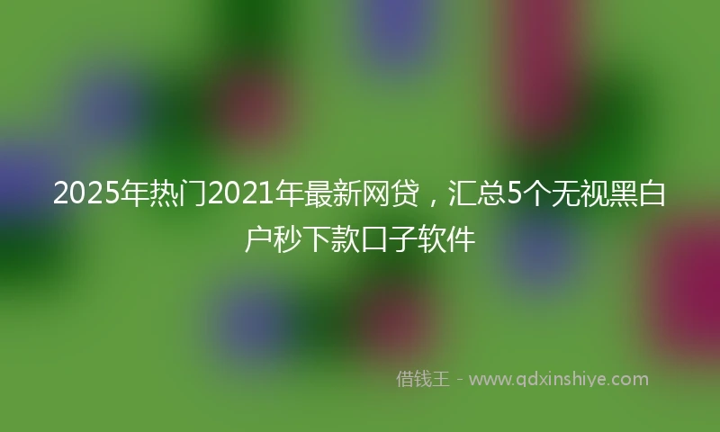 2025年热门2021年最新网贷，汇总5个无视黑白户秒下款口子软件