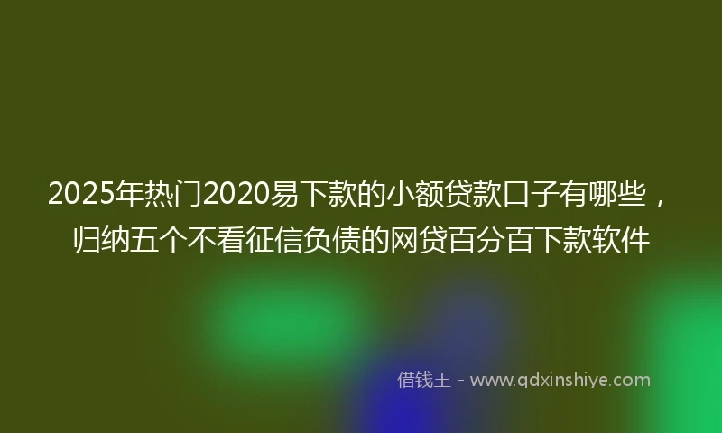 2025年热门2020易下款的小额贷款口子有哪些，归纳五个不看征信负债的网贷百分百下款软件
