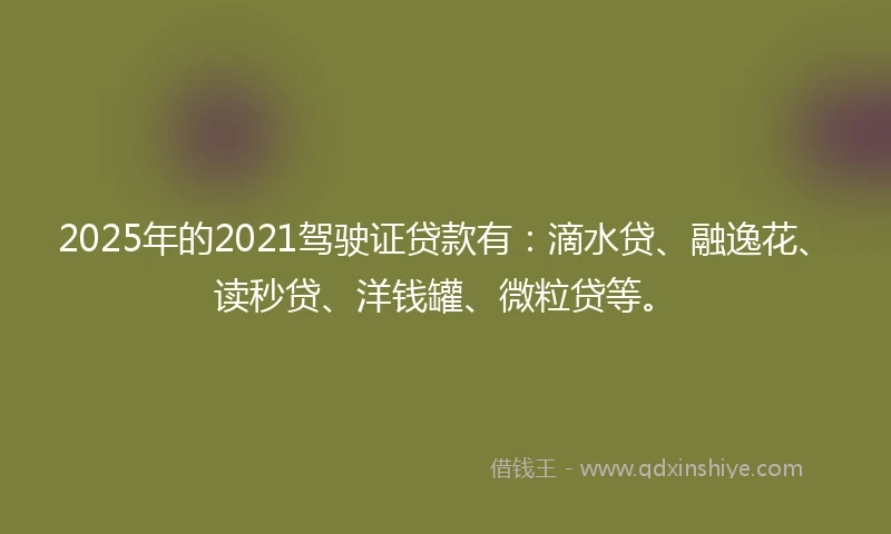 2025年的2021驾驶证贷款有：滴水贷、融逸花、读秒贷、洋钱罐、微粒贷等。