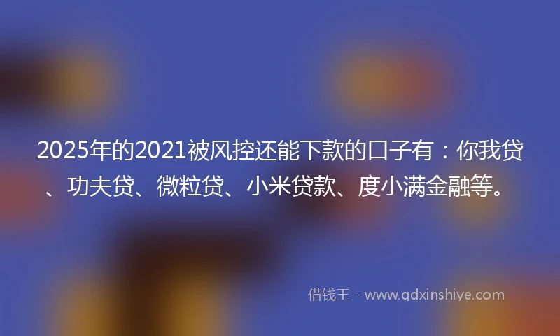 2025年的2021被风控还能下款的口子有：你我贷、功夫贷、微粒贷、小米贷款、度小满金融等。