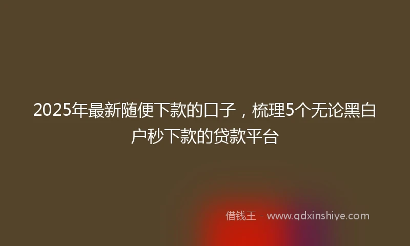 2025年最新随便下款的口子，梳理5个无论黑白户秒下款的贷款平台