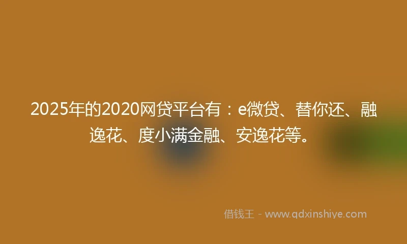 2025年的2020网贷平台有：e微贷、替你还、融逸花、度小满金融、安逸花等。
