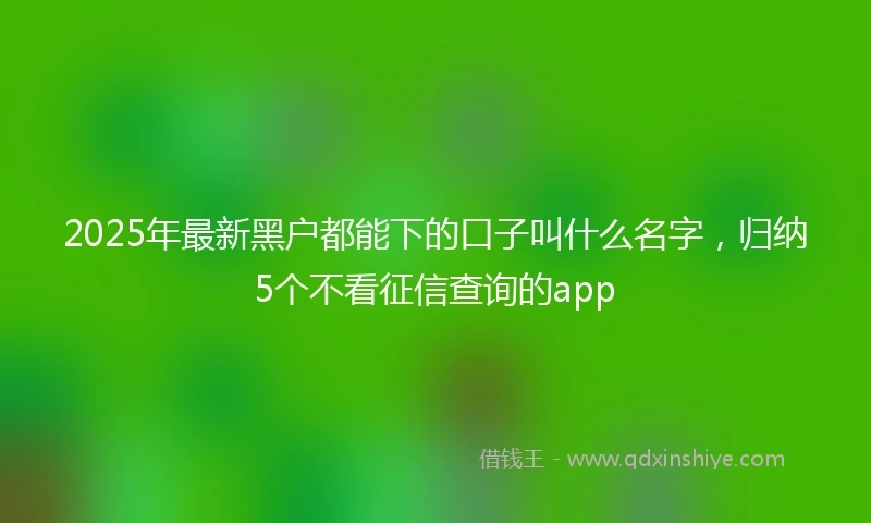 2025年最新黑户都能下的口子叫什么名字，归纳5个不看征信查询的app