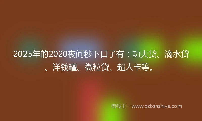 2025年的2020夜间秒下口子有：功夫贷、滴水贷、洋钱罐、微粒贷、超人卡等。