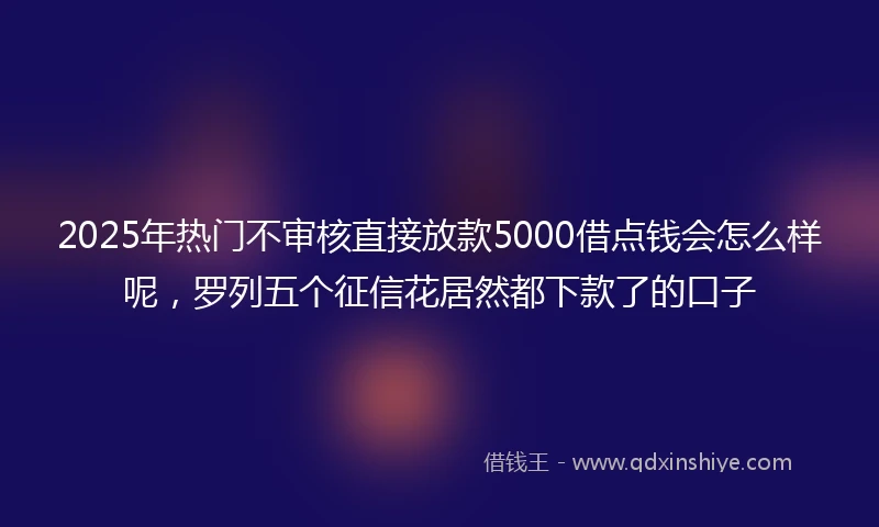 2025年热门不审核直接放款5000借点钱会怎么样呢，罗列五个征信花居然都下款了的口子