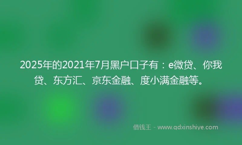 2025年的2021年7月黑户口子有：e微贷、你我贷、东方汇、京东金融、度小满金融等。