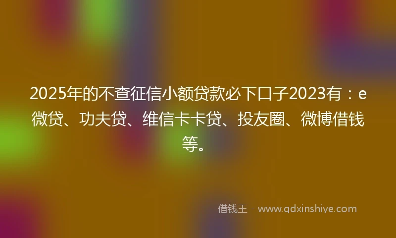 2025年的不查征信小额贷款必下口子2023有：e微贷、功夫贷、维信卡卡贷、投友圈、微博借钱等。